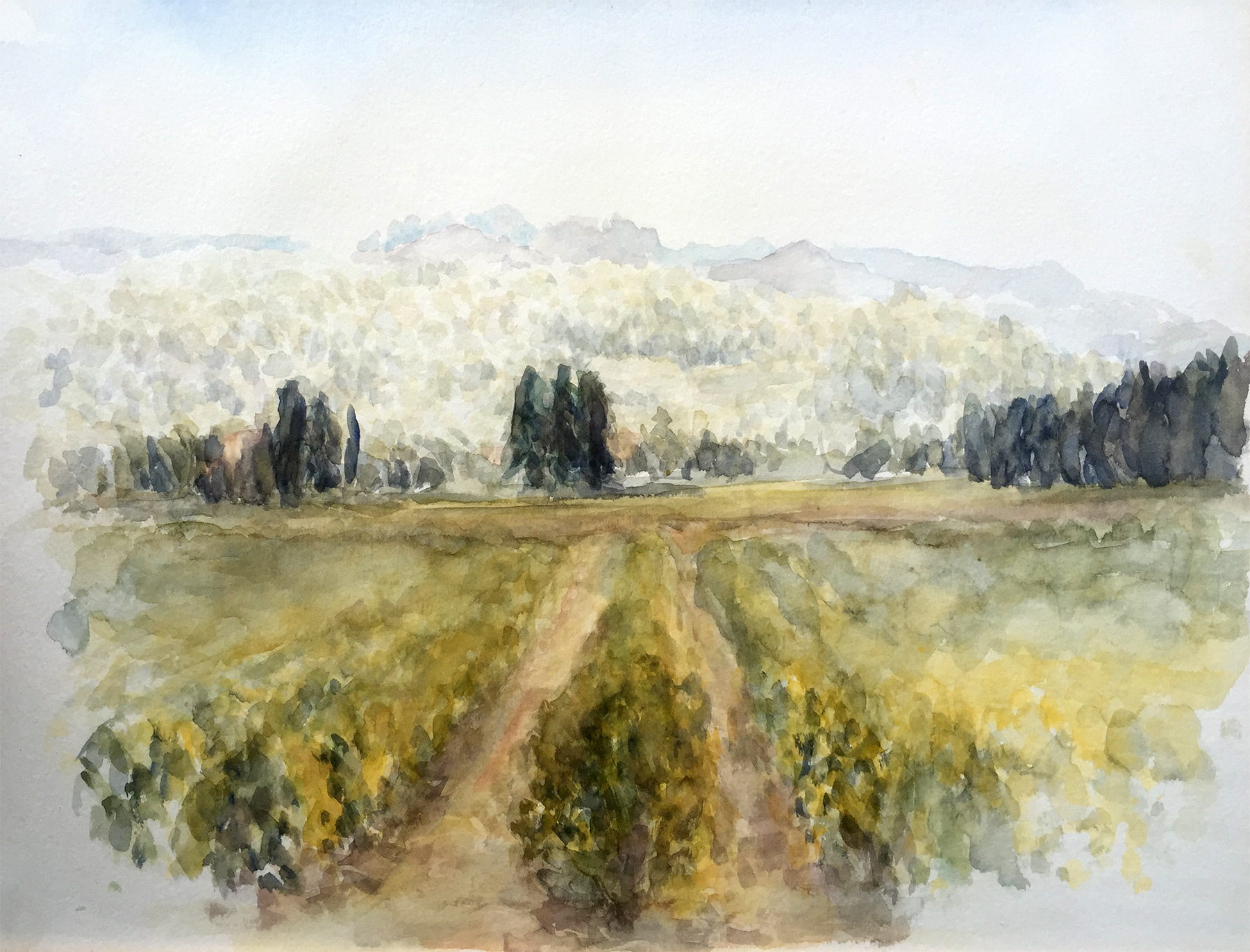 Vineyard Seguret, France (1993)