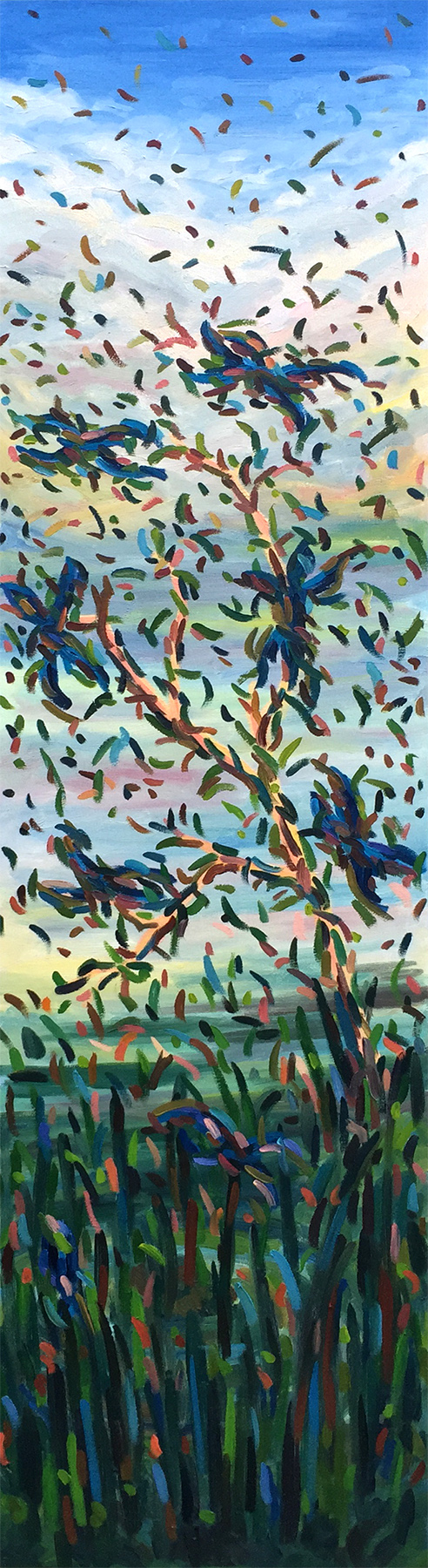 Dragonflies, Rio Erasma, Segovia (2016)
